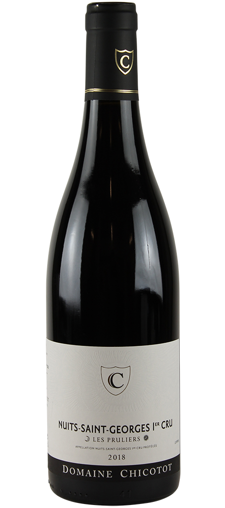 2018 Nuits-Saint-Georges 1er Cru "Les Pruliers"